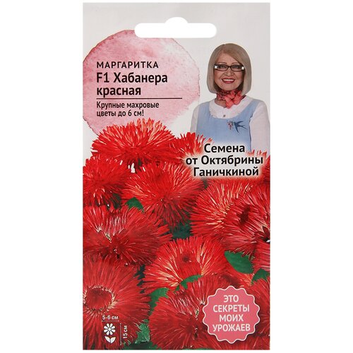 ���� ���������� F1 �������� ������� 5 ��, ������ ����������� ������, ������ �� 295 ���