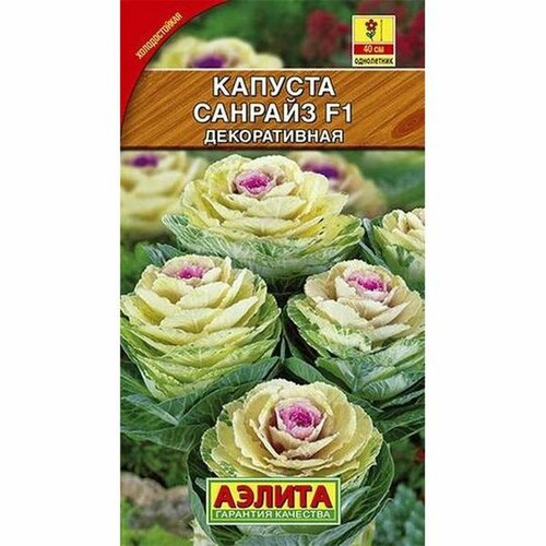 ���� ������ ������� ���. ������� F1 (����������) (������) 6��, ������ �� 76 ���