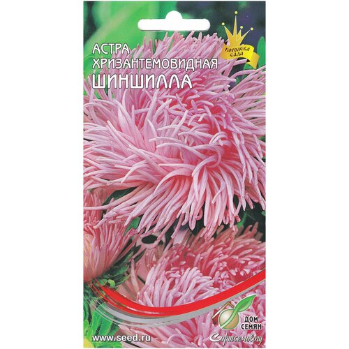 ���� ����� ���������������� ��������, 75 �����, ������ �� 242 ���