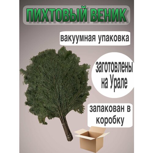 ���� �������� �����, ������ �� 600 ���