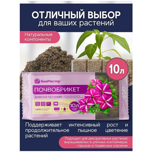 ���� ����������� ��� ������������� ������ ��������� ��������� (�������� ���������). ������ �������. ���������, 10 �, ������ �� 448 ���