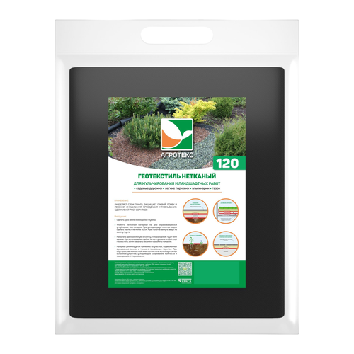 ���� ����������� 