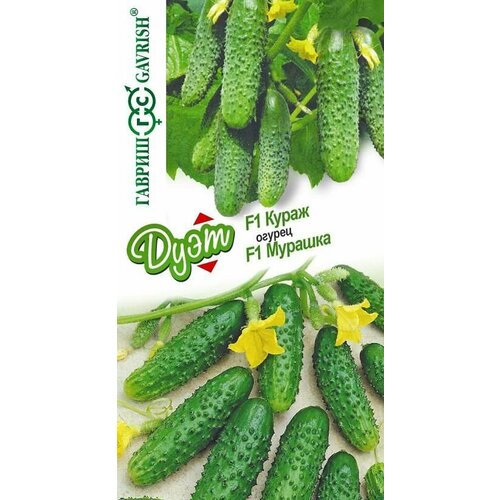 ���� ������ ����� F1+������� F1 20 ��., ������ �� 230 ���