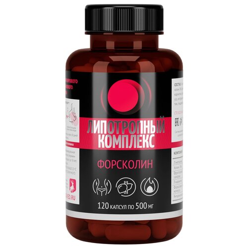 ���� ������� �������� ����������� �������� ���������, 70 �, 500 ��, 120 ��., ������ �� 1058 ���