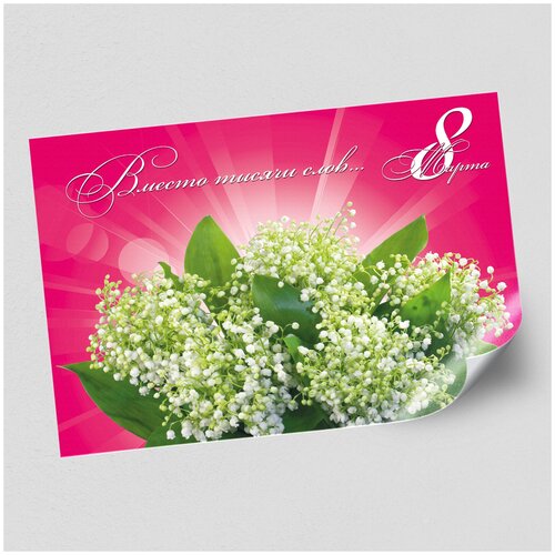  /   8  / -1 (84x60 .),   900 