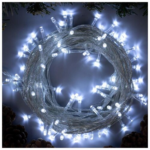 ���� �������� Luazon Lighting ���� 3556780, 1 ��. � ������, 10 �, 100 ����, �����, ������ �� 698 ���