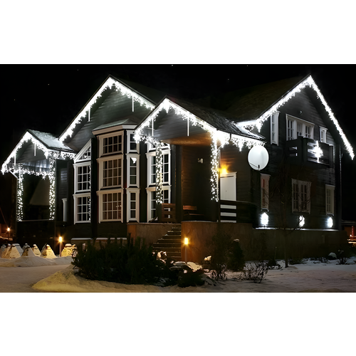 ���� ������� �������, �������� ������������, �������������� �������������, ����� ��� 2025, 12 �, �������� �����, ������ �����, ������ �� 2050 ���