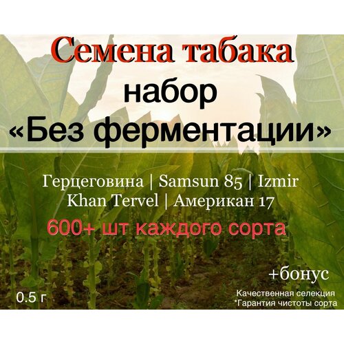 ���� ������ ������ ����� 