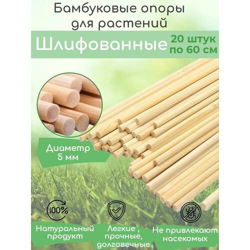     ,   ,   60  20 ,    5 ,   499 