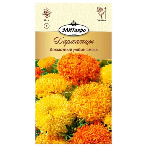 ���� �������� �������� ����� ����� (0,3 �), 2 ������, ������ �� 239 ���