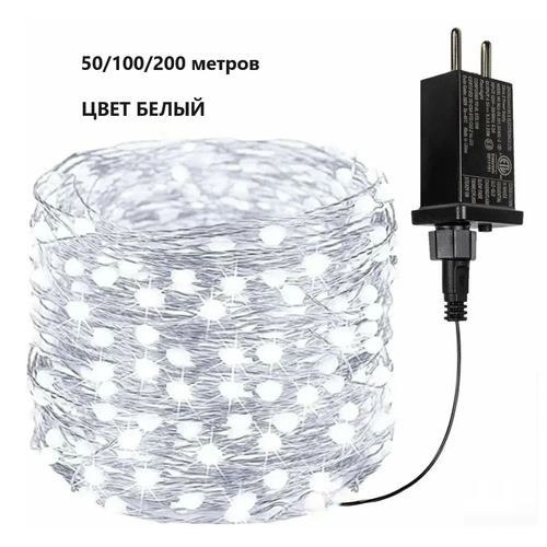 ���� �������� ����������� 