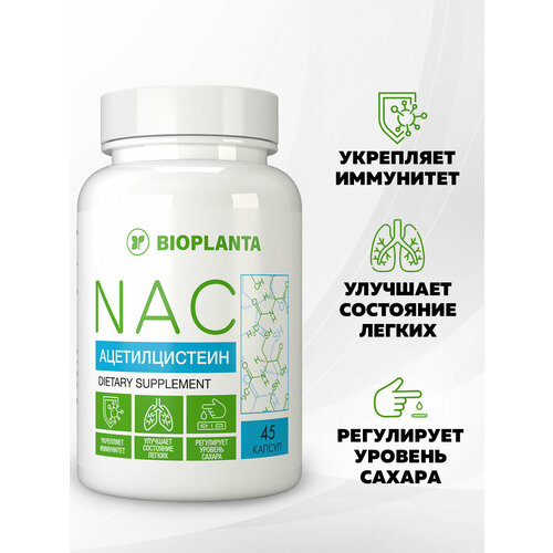 ���� ��� �-������������� 600 �� NAC ��� �������� ������, ������ �� 1090 ���