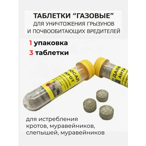 ���� �������� �� ������ � �������� �������� ��������, ������ �� 290 ���