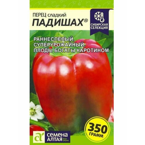 ���� ������ ����� �������, ������ �����, ������ �� 249 ���