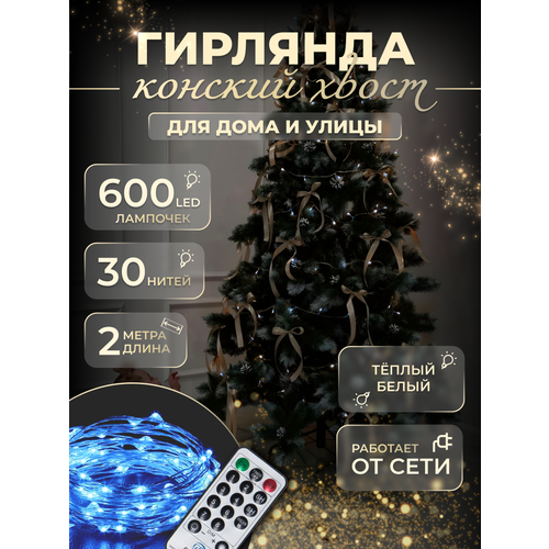 ���� �������� 