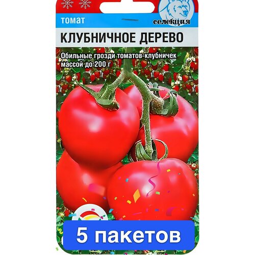 ���� ������ ������ ��������� ��� 