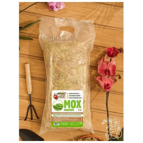 ���� ��� ������� 