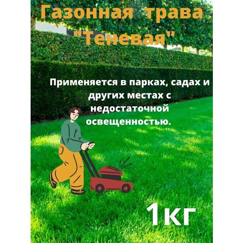 ���� �������� ����� 