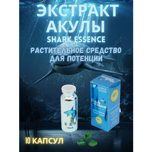 ���� �������� ����� Shark Essence �������� ��� �������� � ������� � ������ (������), 10 ��������, ������ �� 689 ���