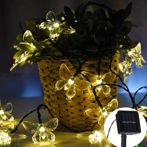 ���� ������������ �������� � ����� ������� ������ �� ��������� ������� 30 ���� 6 ������, ������ �� 790 ���