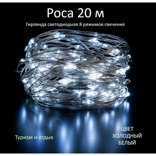 ���� �������� ���� 20 �, �����, ������ �� 459 ���