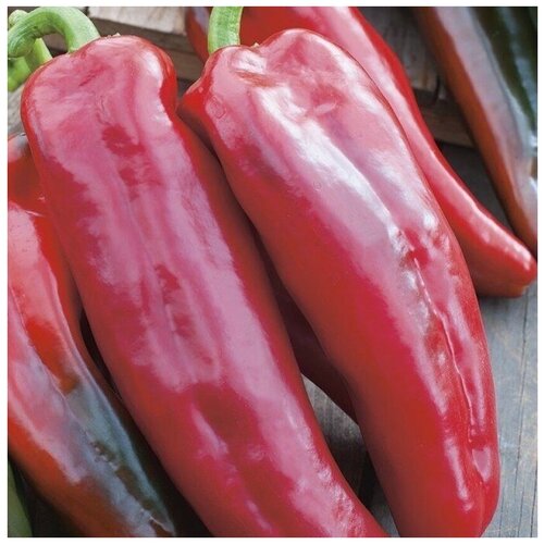 ���� ������ ������ ����� ������� ����� 10 ��., ������ �� 250 ���