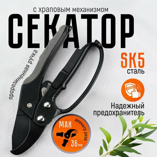 ���� ������� ���������������� � �������� ����������, ������� ������� ��� �����, ������, ���� 36��, ������ �� 1400 ���