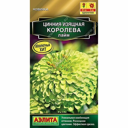 ���� ������ ������ �������� ����, ����������, (������) 5�� ������� �����, ������ �� 112 ���