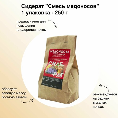 ���� ������� 