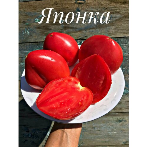 ���� ������������� ������ ������ ������, ������ �� 127 ���