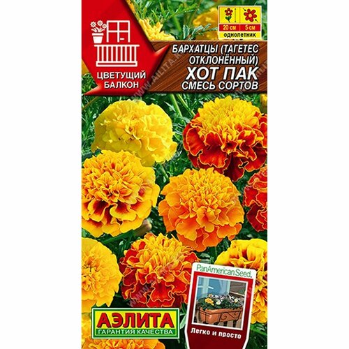 ���� ������ �������� ��� ���, ����� ������, ����������, (������) 5�� �������� ������, ������ �� 55 ���