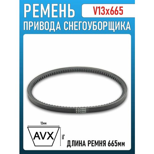 ���� ������ V13x665 �������� (������) �� ������������, ������ �� 715 ���