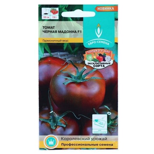 ���� ������ ����� 