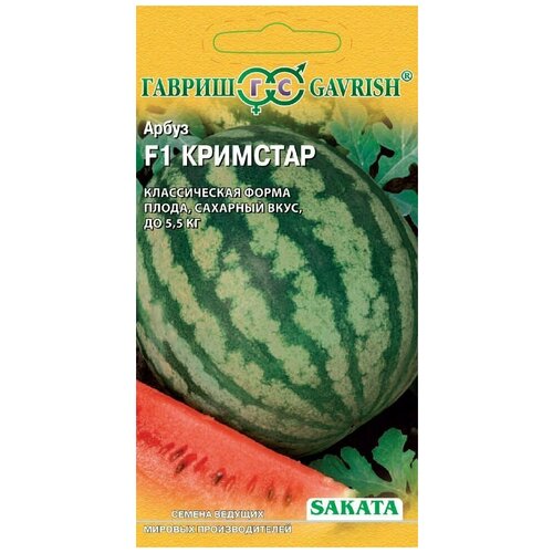 ���� ������. ����� 