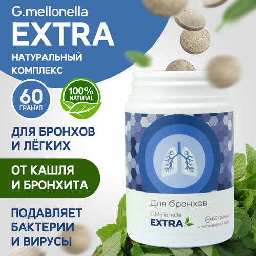 ���� ������� ������ - ��� �������, �� �����, �� ��������, ���������� ����������� 60 ������., ������ �� 840 ���