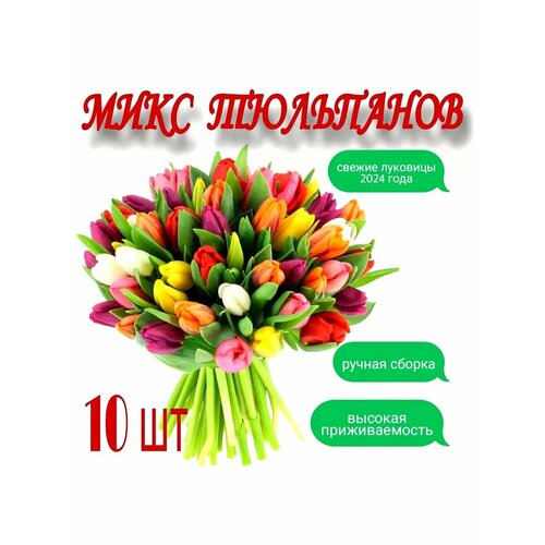 ���� ������� ���������, 10��., ������ �� 320 ���