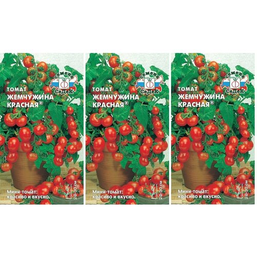 ���� ������ ����� ��������� ������� 0,1 � (�����) , 3 ������ * 0,1 � ; �������� ��� ����������� �� ������� ��� �����������., ������ �� 109 ���