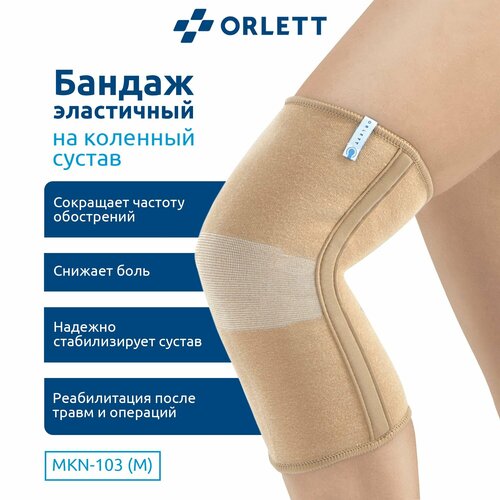  Orlett    Coolmax MKN-103(M),  L, ,   3766 
