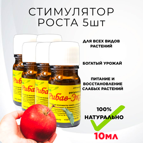 ���� ����� ��������� ����� ������ ��������� ���������� ����� �������� 10 ��, 5 ��, ������ �� 1577 ���