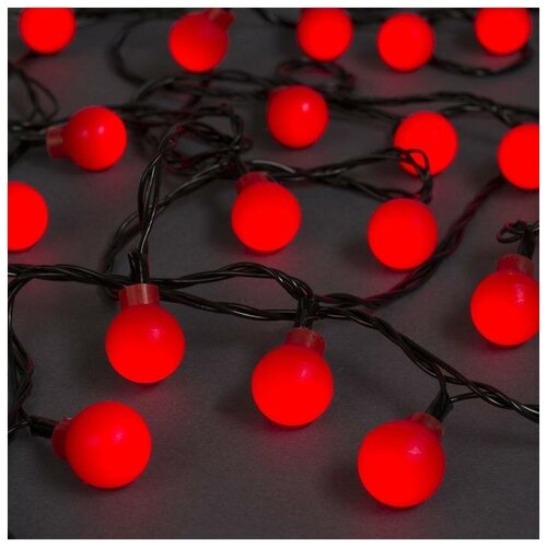 ���� �������� 