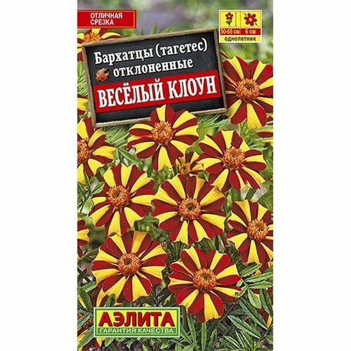 ���� ������ �������� ������� ����� �����������, ����. (����������) (������) 0,1�, ������ �� 42 ���