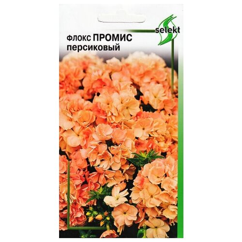 ���� ����� ������, ����������, 9 �����, ������ �� 310 ���