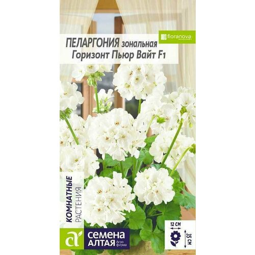 ���� ������ ���������� 