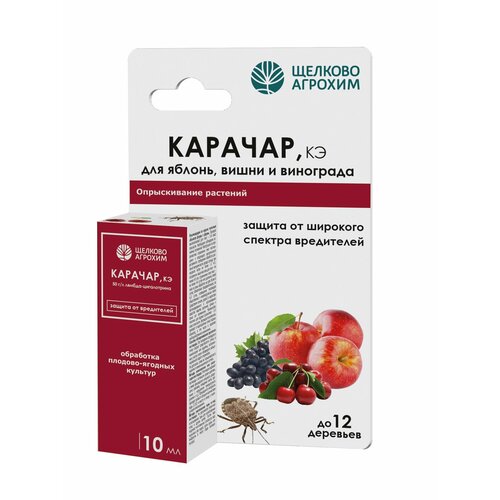 ���� ���������� ������� ������� ������� 10 ��, ������ �� 139 ���