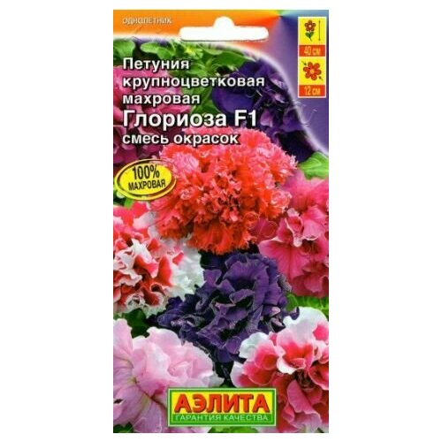 ���� ������� �������� ��������������� �������� F1 ( 1 �������� ), ����� �������, ������ �� 429 ���