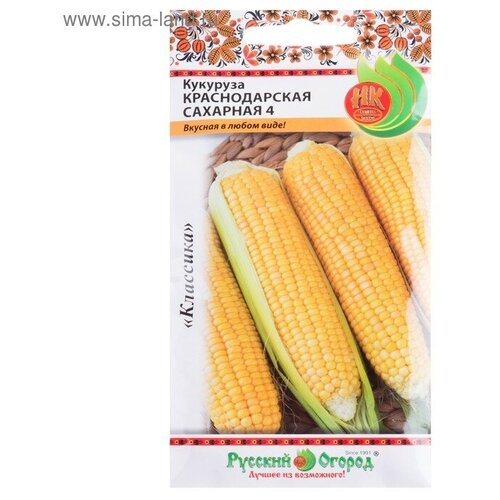 ���� �������� 