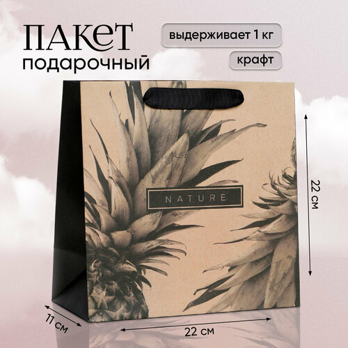 ���� ����� ���������� �Black�, 22 � 22 � 11 ��, ������ �� 178 ���