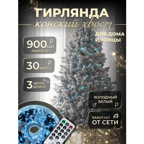 ���� �������� 