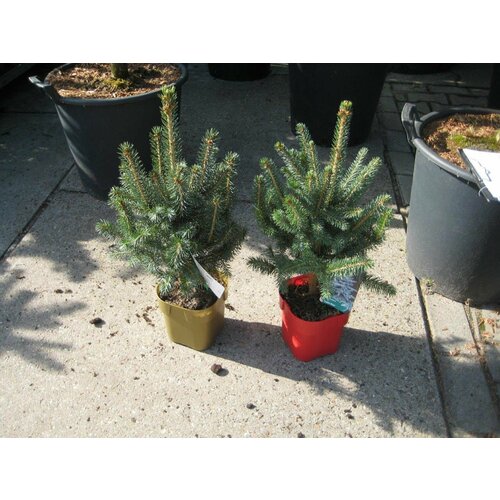 ���� �������� ��� ������� ����� ��� 882328 �2 H25-30, ������ �� 1499 ���