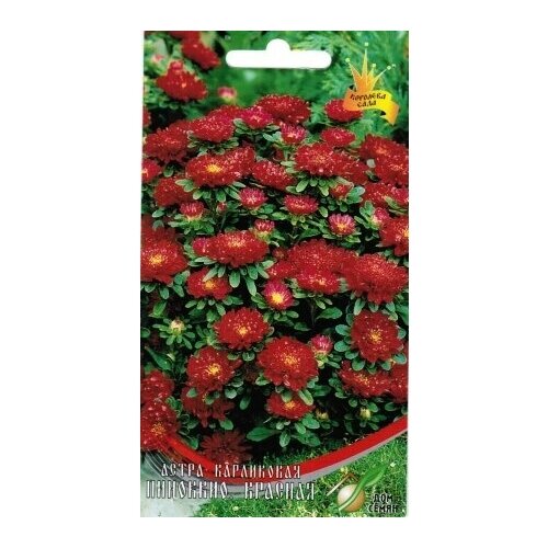 ���� ����� ��������, �������, 35 �����, ������ �� 243 ���